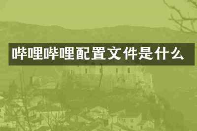 哔哩哔哩配置文件是什么