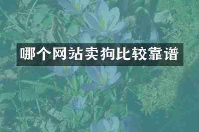 哪个网站卖狗比较靠谱