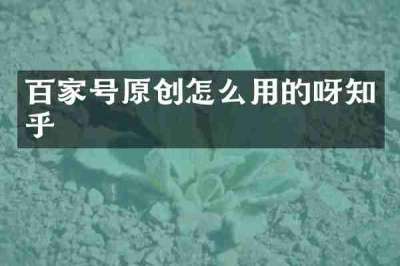 百家号原创怎么用的呀知乎