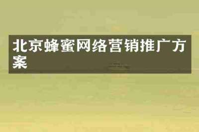 北京蜂蜜网络营销推广方案