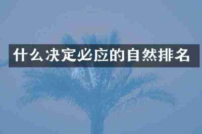 什么决定必应的自然排名