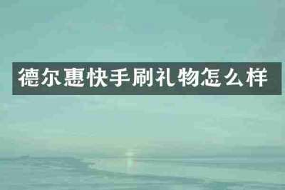 德尔惠快手刷礼物怎么样