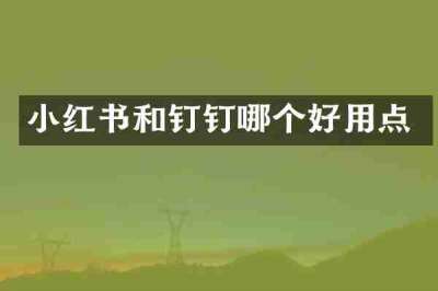 小红书和钉钉哪个好用点
