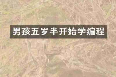 男孩五岁半开始学编程