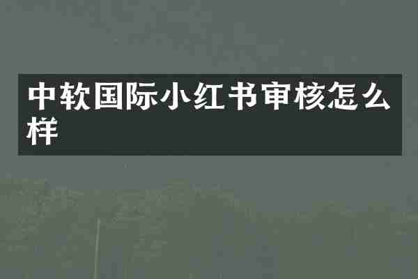 中软国际小红书审核怎么样