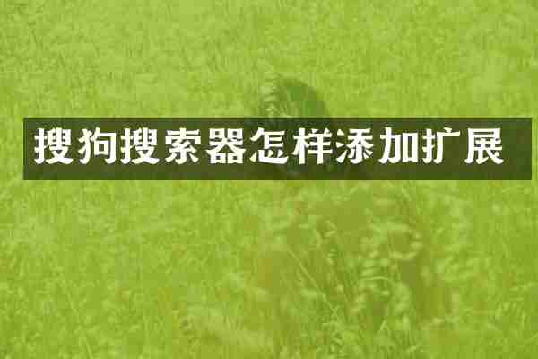 搜狗搜索器怎样添加扩展