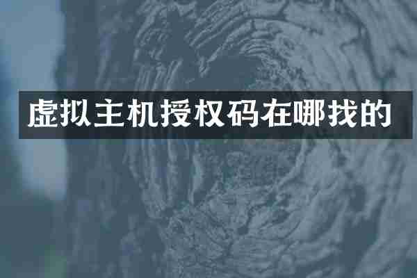 虚拟主机授权码在哪找的
