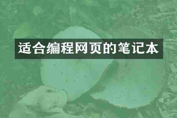 适合编程网页的笔记本