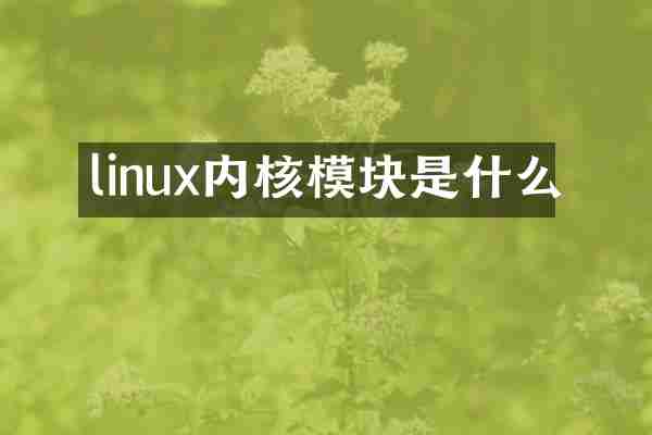 linux内核模块是什么