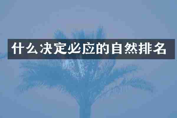 什么决定必应的自然排名