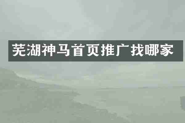 芜湖神马首页推广找哪家