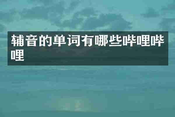 辅音的单词有哪些哔哩哔哩
