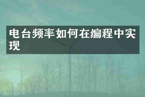 电台频率如何在编程中实现