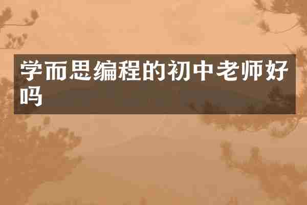 学而思编程的初中老师好吗