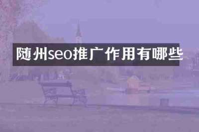 随州seo推广作用有哪些