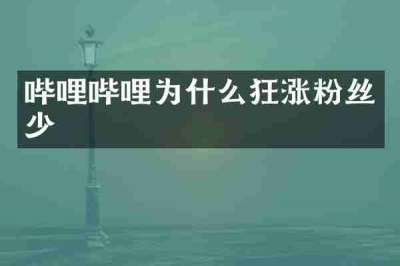 哔哩哔哩为什么狂涨粉丝少