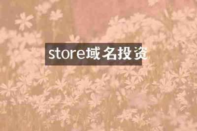 store域名投资