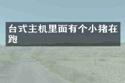台式主机里面有个小猪在跑