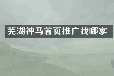芜湖神马首页推广找哪家