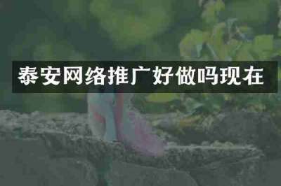 泰安网络推广好做吗现在