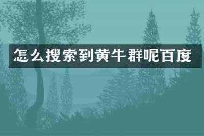 怎么搜索到黄牛群呢百度