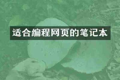 适合编程网页的笔记本