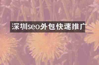 深圳seo外包快速推广