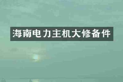 海南电力主机大修备件