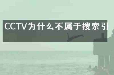 CCTV为什么不属于搜索引擎