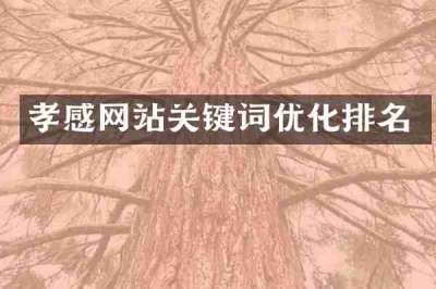 孝感网站关键词优化排名