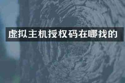 虚拟主机授权码在哪找的