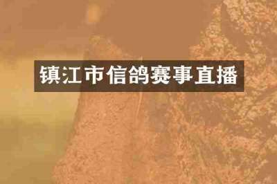 镇江市信鸽赛事直播