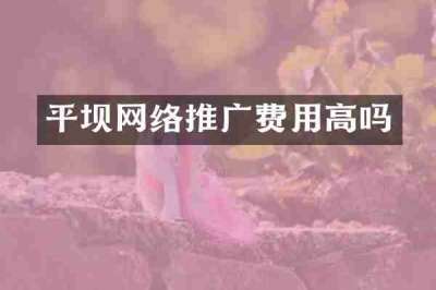 平坝网络推广费用高吗