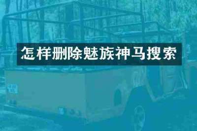 怎样删除魅族神马搜索
