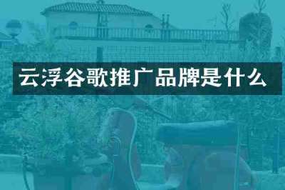 云浮谷歌推广品牌是什么