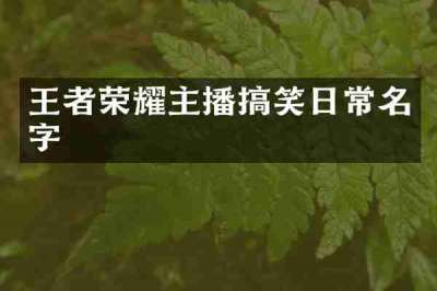 王者荣耀主播搞笑日常名字
