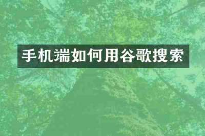 手机端如何用谷歌搜索