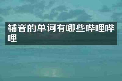 辅音的单词有哪些哔哩哔哩