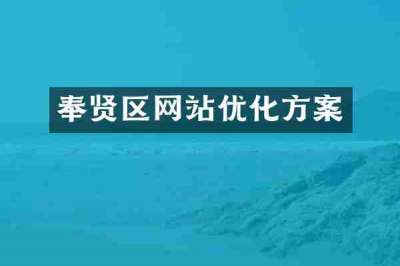 奉贤区网站优化方案