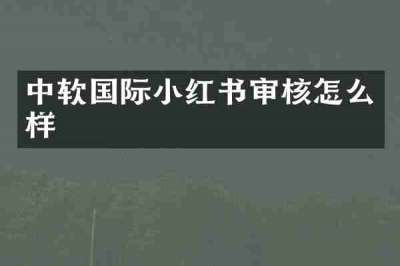 中软国际小红书审核怎么样