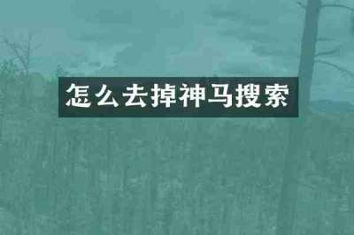 怎么去掉神马搜索