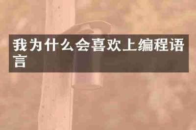 我为什么会喜欢上编程语言