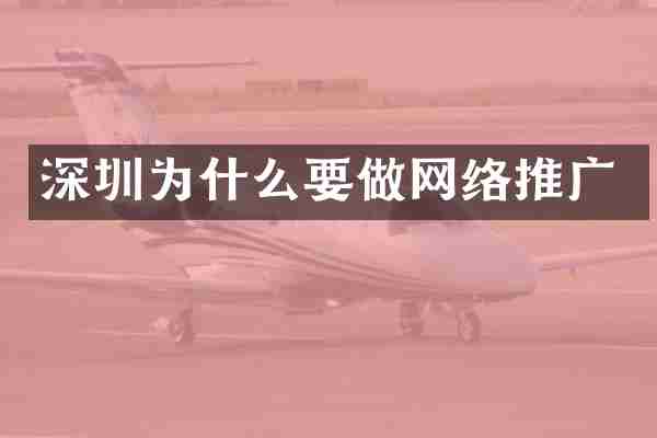 深圳为什么要做网络推广