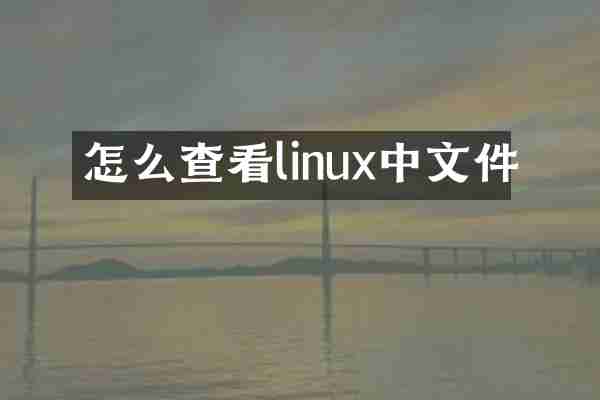 怎么查看linux中文件