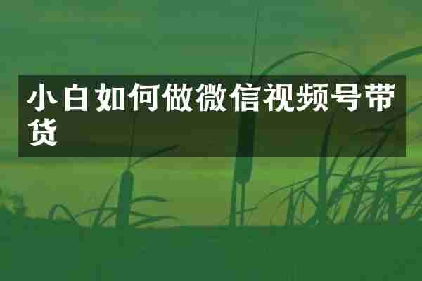 小白如何做微信视频号带货