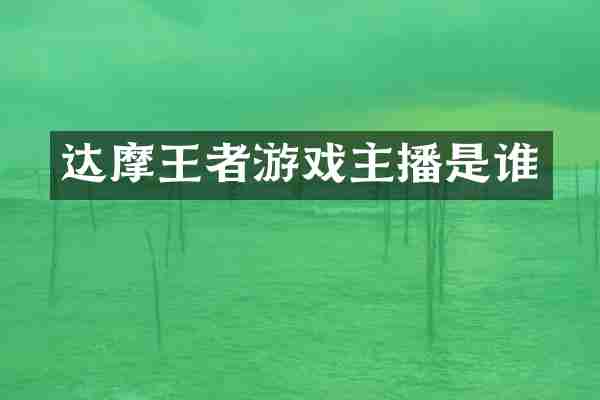 达摩王者游戏主播是谁