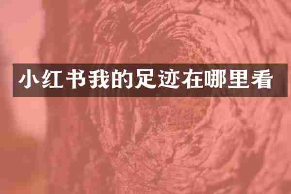 小红书我的足迹在哪里看