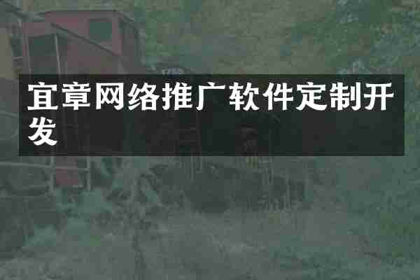 宜章网络推广软件定制开发