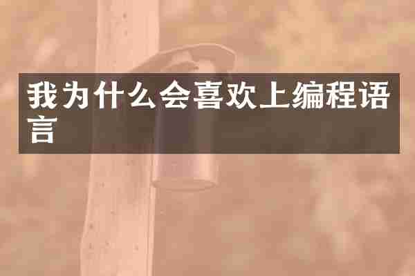 我为什么会喜欢上编程语言