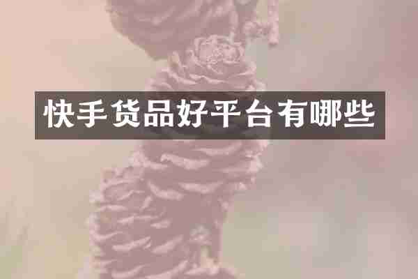 快手货品好平台有哪些